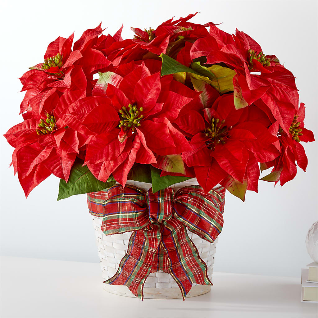 Happiest Holidays Poinsettia – Cornerstone Florals, Katy TX