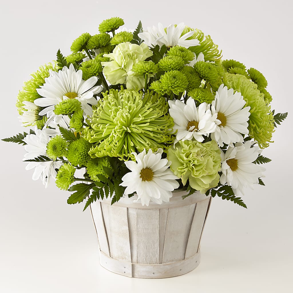 Lucky Charm Basket (Standard) – Cornerstone Florals, Katy TX