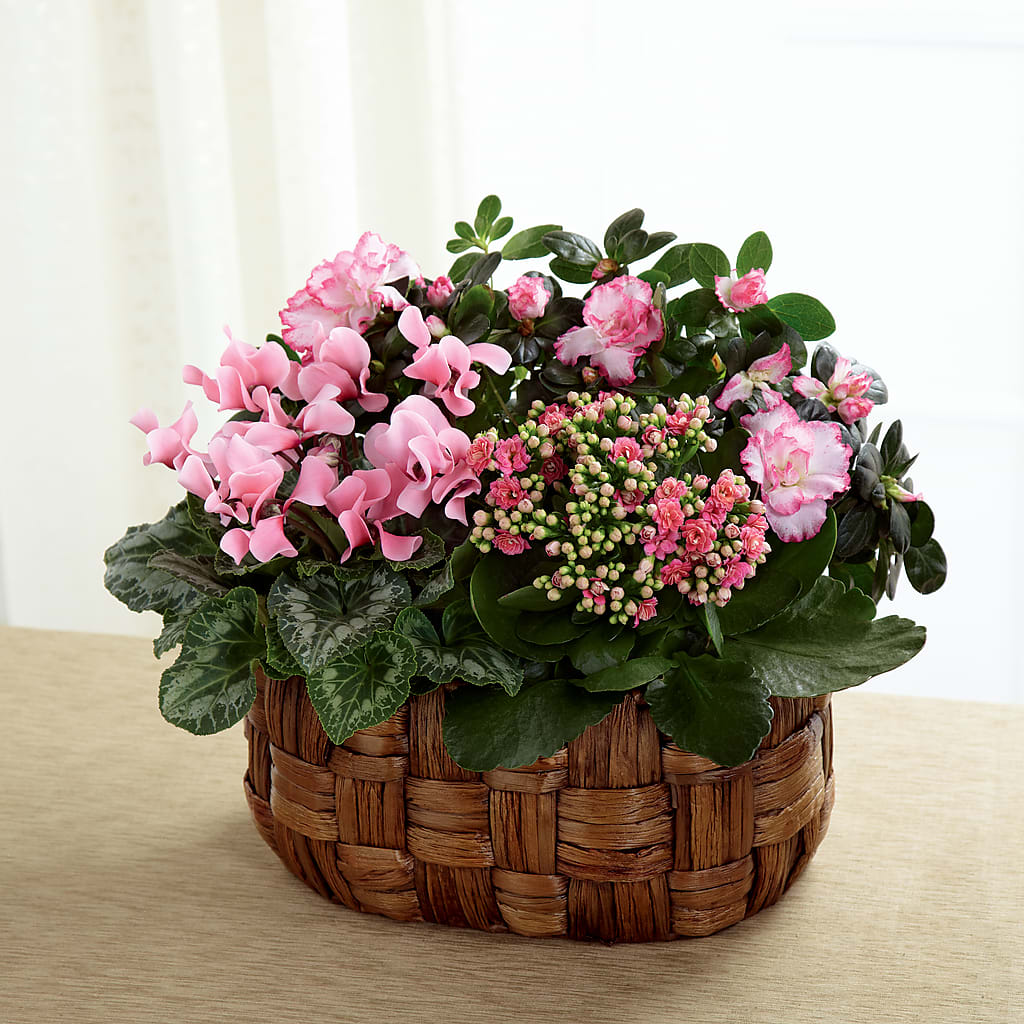 Pink Assortment – Cornerstone Florals, Katy TX