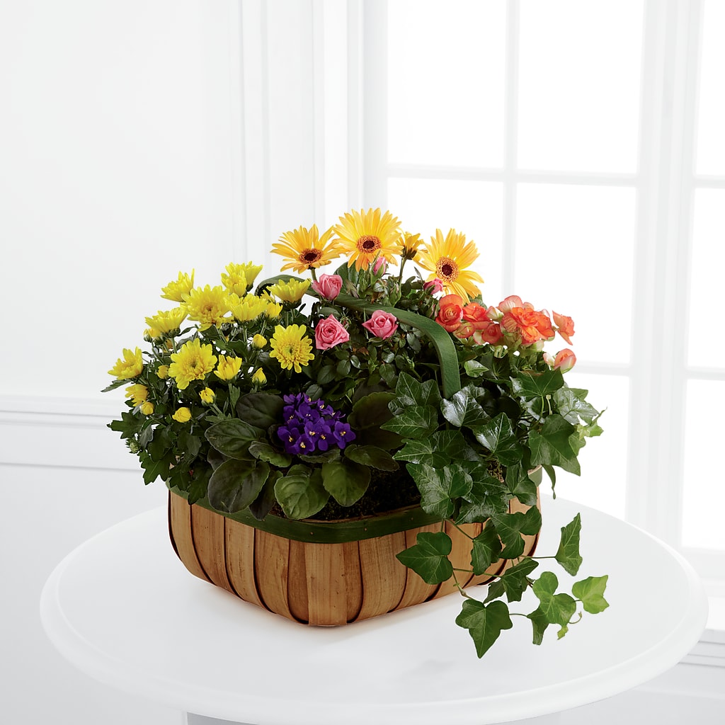 Gentle Blossoms Basket – Cornerstone Florals, Katy TX
