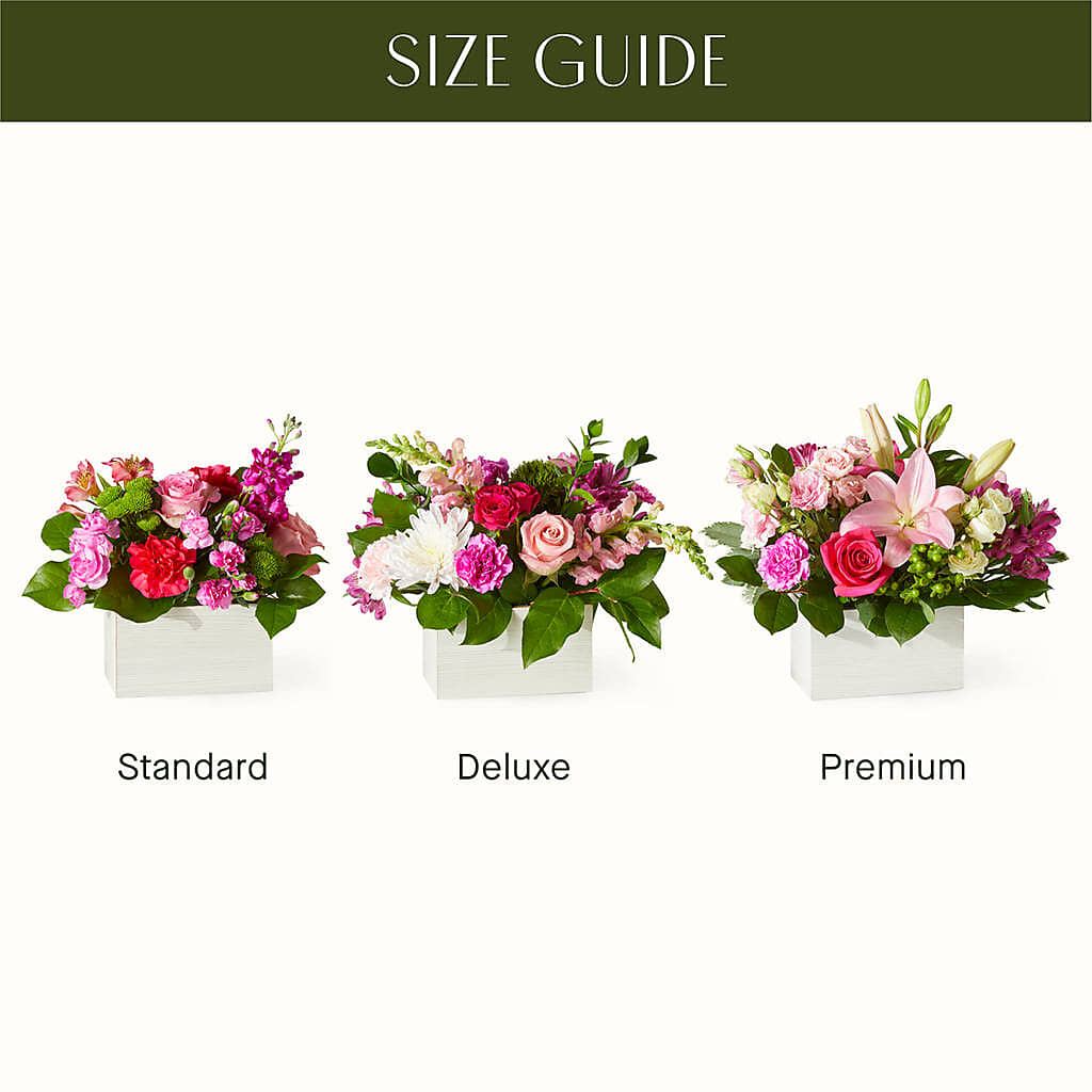 Sweetberry Box – A Florist Original – Cornerstone Florals, Katy TX