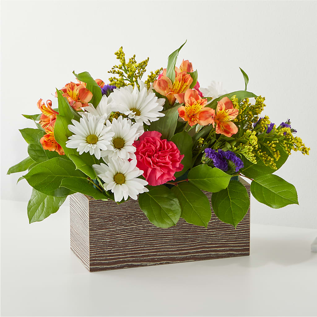 Oopsie Daisy Box Bouquet – Cornerstone Florals, Katy TX