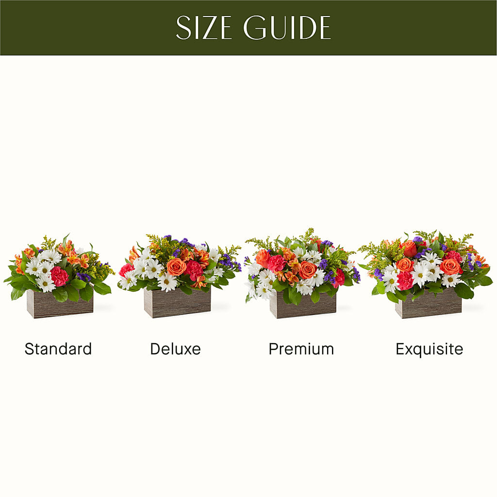 Oopsie Daisy Box Bouquet – Cornerstone Florals, Katy TX