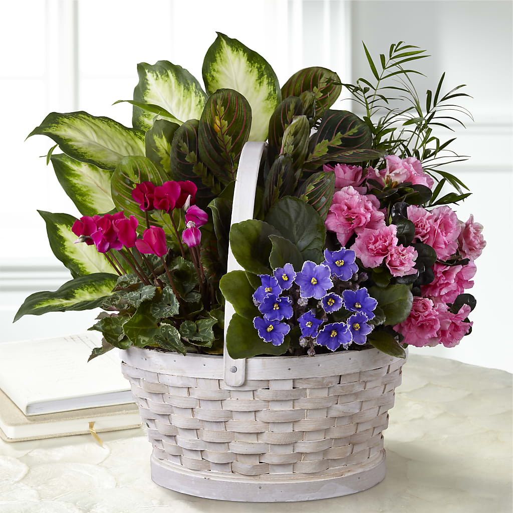Peaceful Garden Planter – Cornerstone Florals, Katy TX