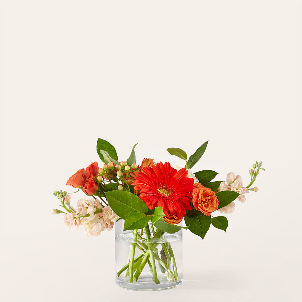 Paloma Please Bouquet – Cornerstone Florals, Katy TX