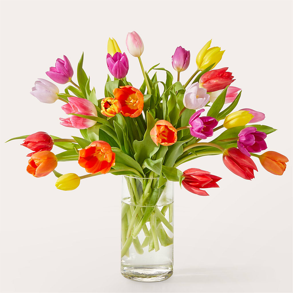 Let's Talk Tulips Bouquet – Cornerstone Florals, Katy TX