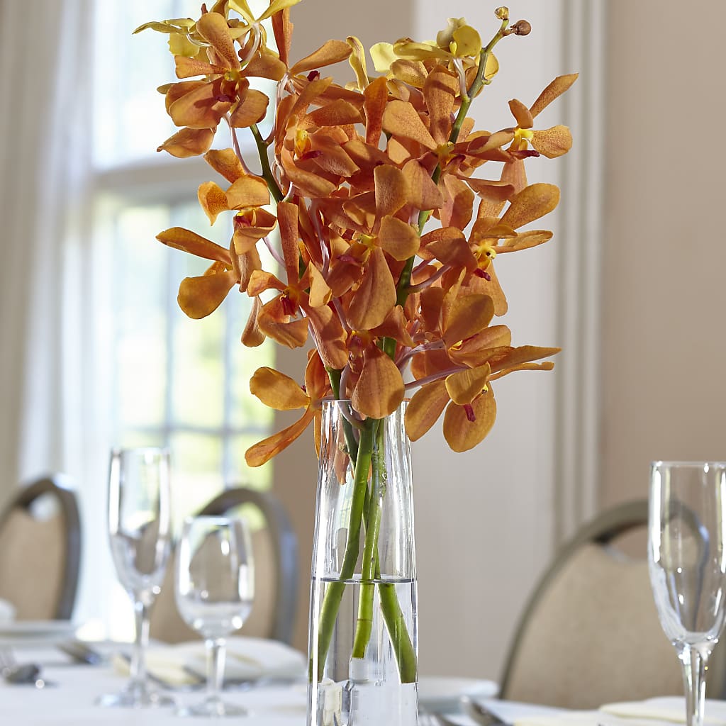 Orange Mokara Bud Vase – Cornerstone Florals, Katy TX