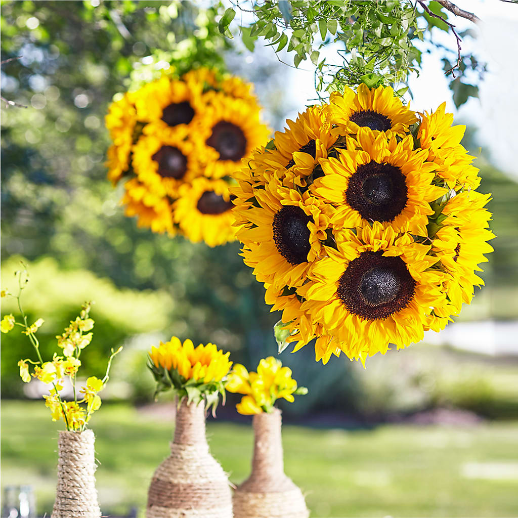 Sublime Garden Hanging Arrangement – Cornerstone Florals, Katy TX