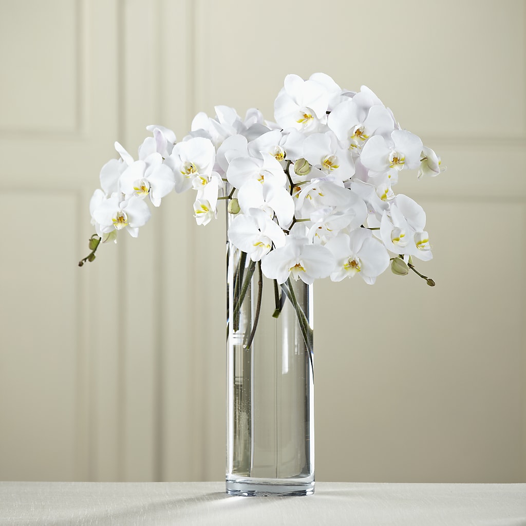 White Phalaenopsis Bouquet – Cornerstone Florals, Katy TX