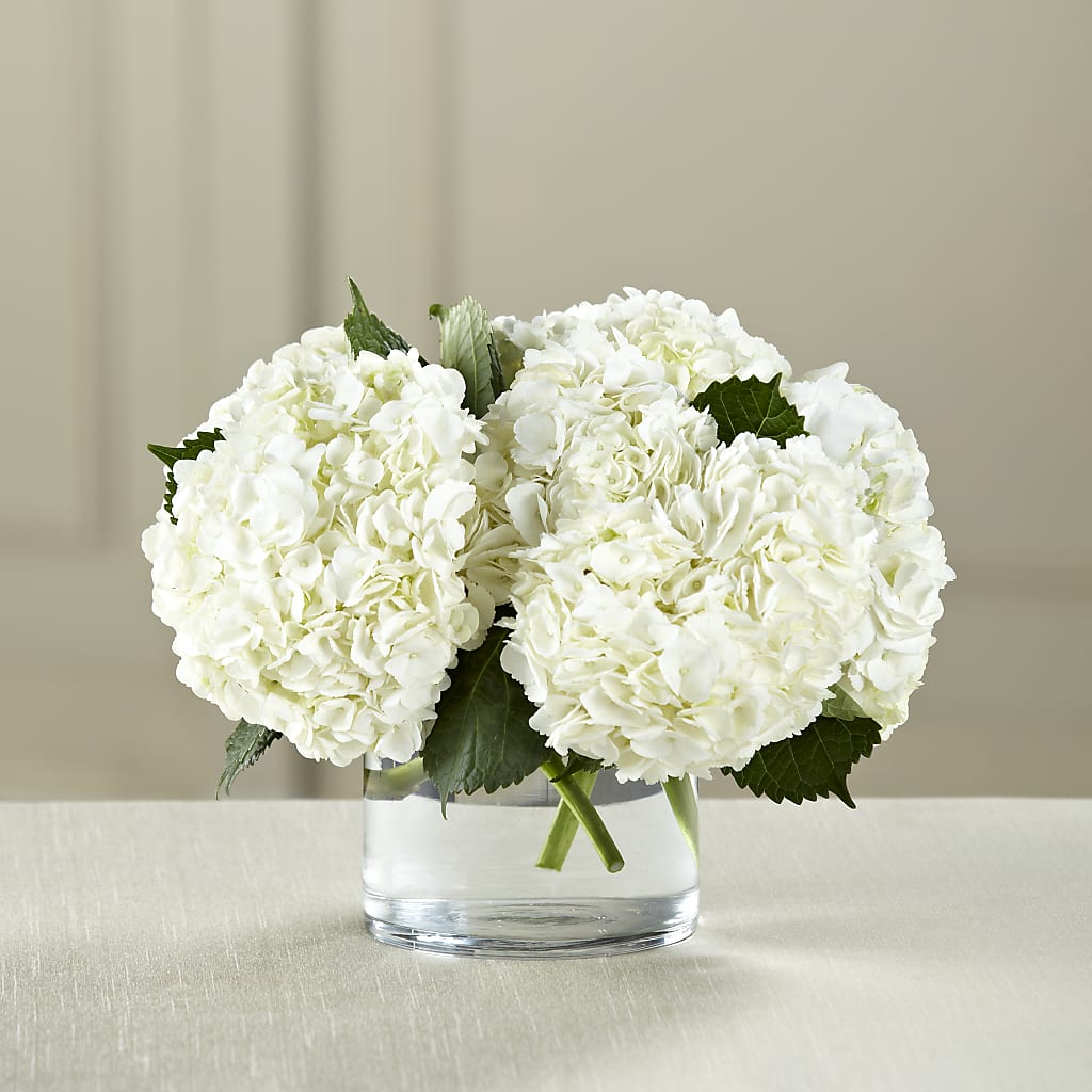White Hydrangea Bouquet – Cornerstone Florals, Katy TX