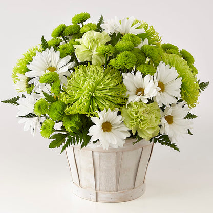 Lucky Charm Basket (Standard) –  Cornerstone Florals, Katy TX