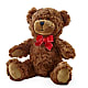 Adorable Plush Bear –  Cornerstone Florals, Katy TX