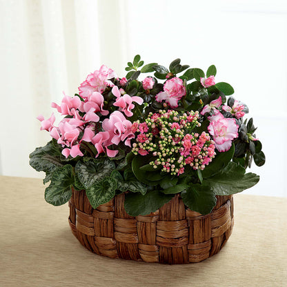 Pink Assortment –  Cornerstone Florals, Katy TX