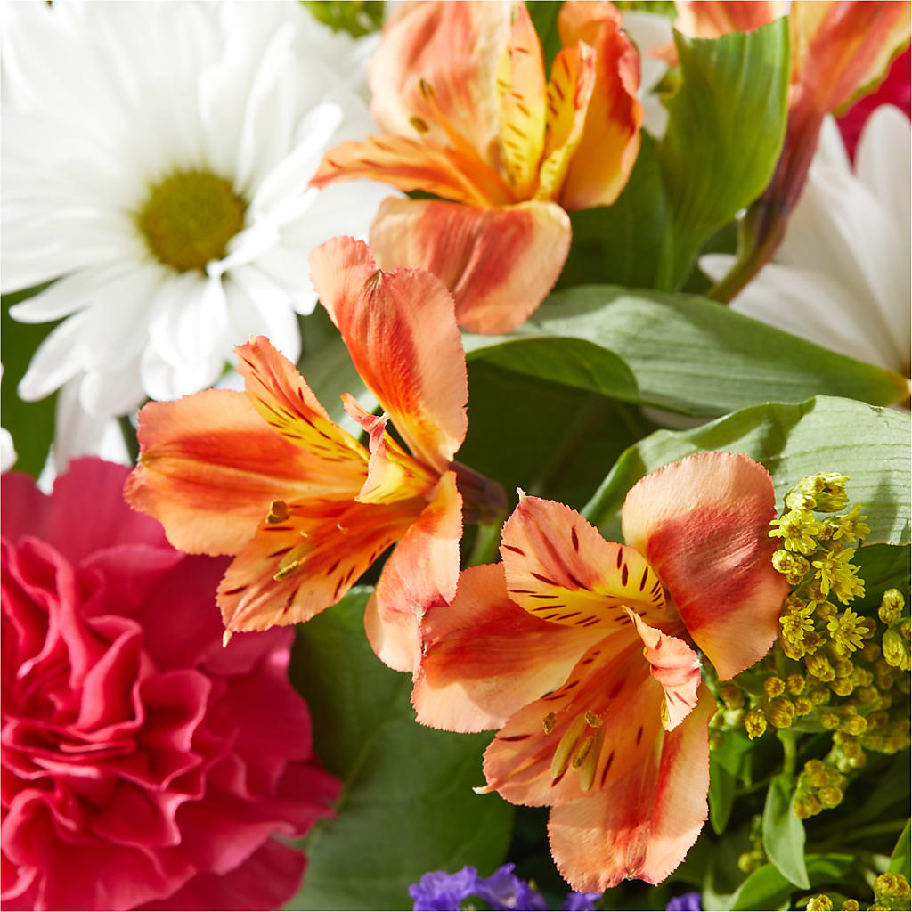 Oopsie Daisy Box Bouquet –  Cornerstone Florals, Katy TX