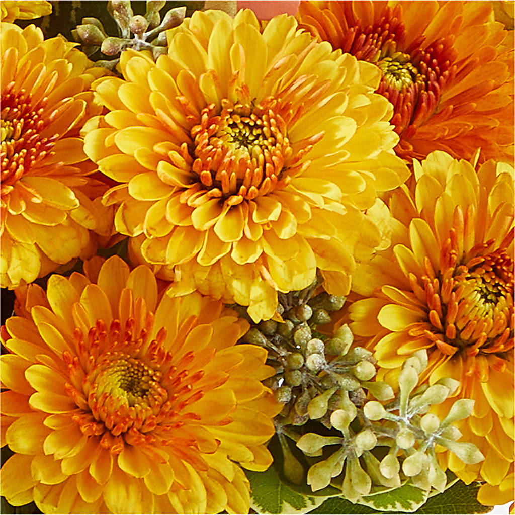 Peachy Pumpkin –  Cornerstone Florals, Katy TX