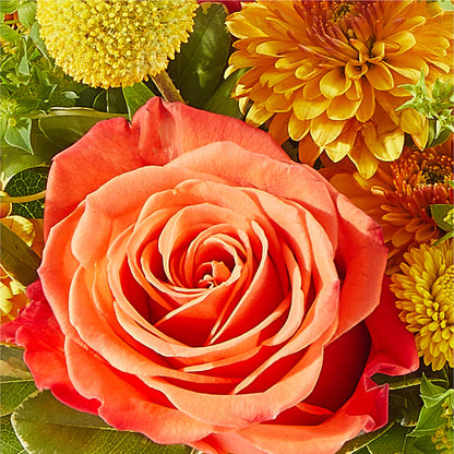 Gourdgeous Pumpkin –  Cornerstone Florals, Katy TX