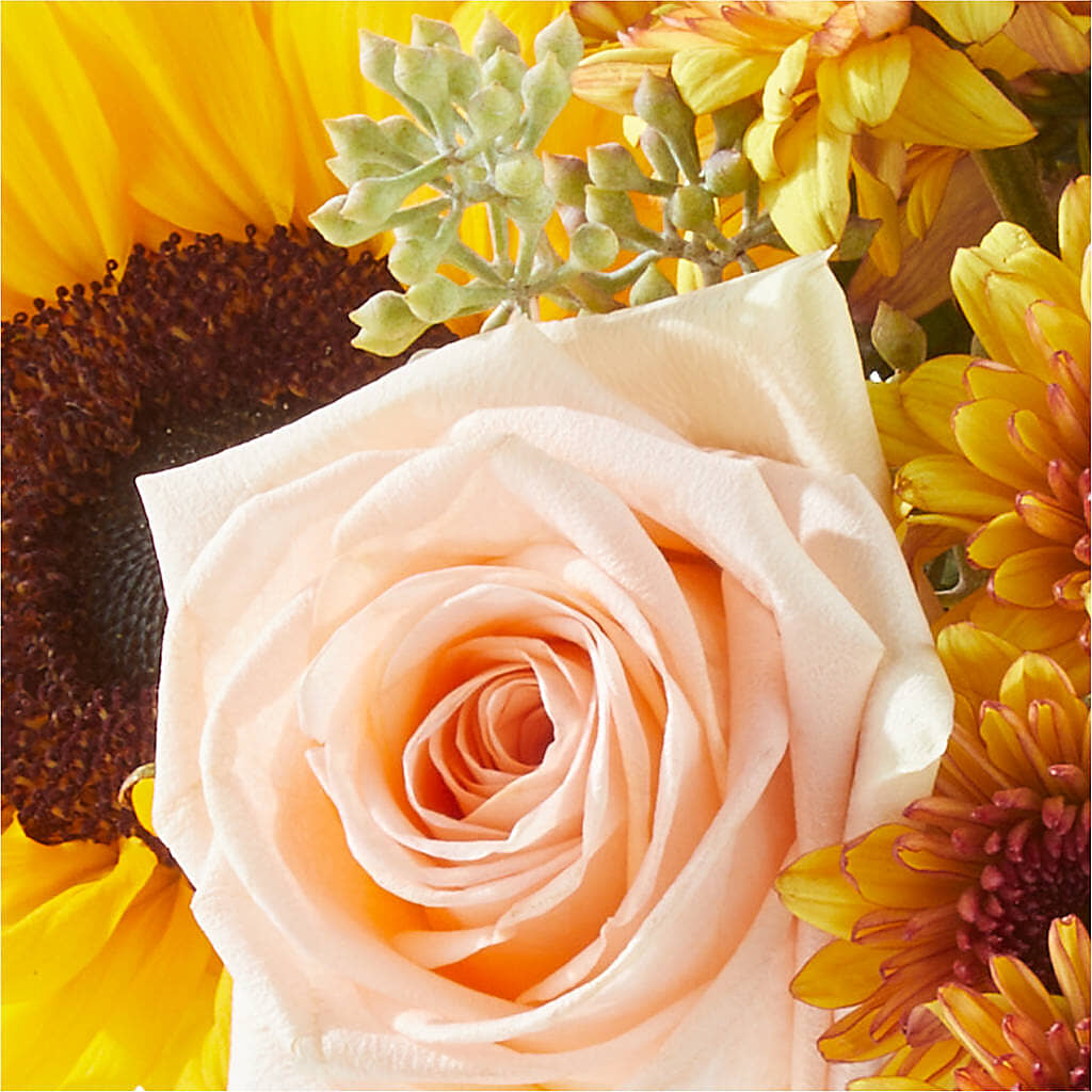Pumpkin to Talk About Bouquet –  Cornerstone Florals, Katy TX
