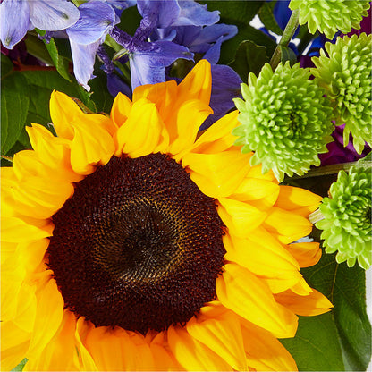 Catching Rays Bouquet –  Cornerstone Florals, Katy TX
