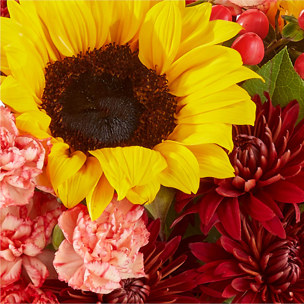Fresh Cider Bouquet –  Cornerstone Florals, Katy TX
