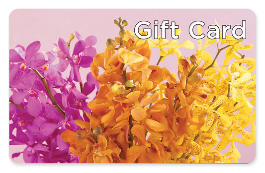 Gift Card –  Cornerstone Florals, Katy TX
