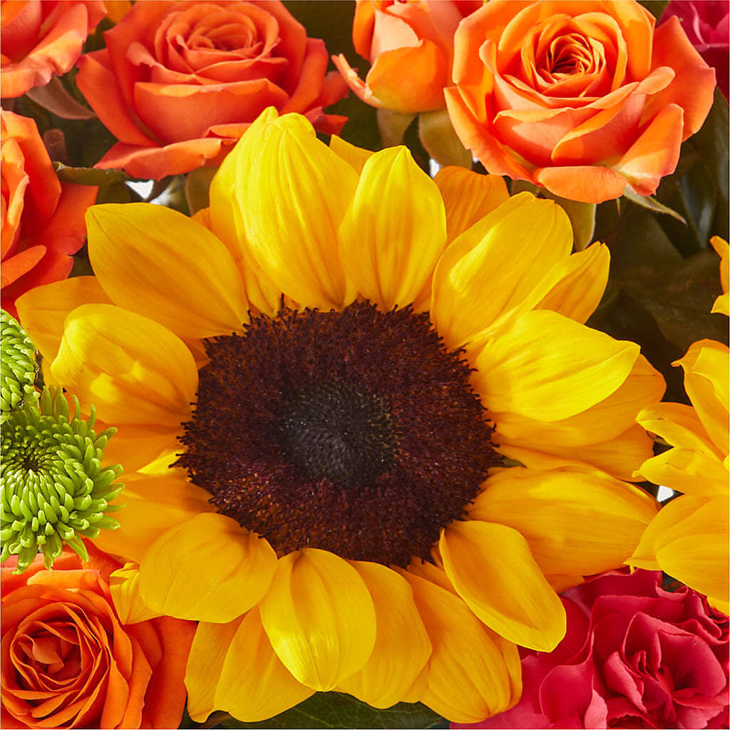 Sun-drenched Blooms Box Bouquet –  Cornerstone Florals, Katy TX