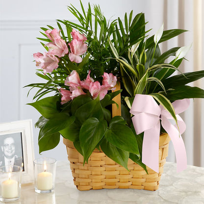Living Spirit Dishgarden –  Cornerstone Florals, Katy TX