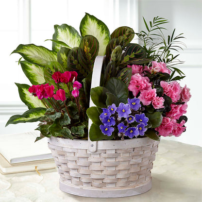 Peaceful Garden Planter –  Cornerstone Florals, Katy TX