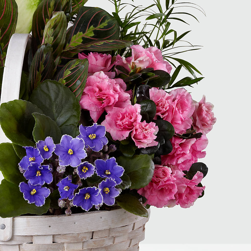 Peaceful Garden Planter –  Cornerstone Florals, Katy TX