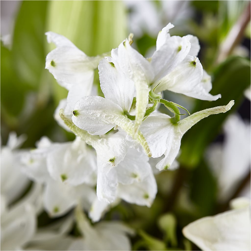 Classic Ivory – A Florist Original –  Cornerstone Florals, Katy TX