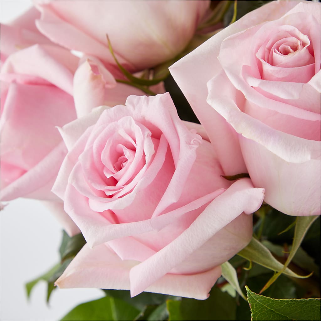 Picture Perfect Pink Rose Bouquet –  Cornerstone Florals, Katy TX
