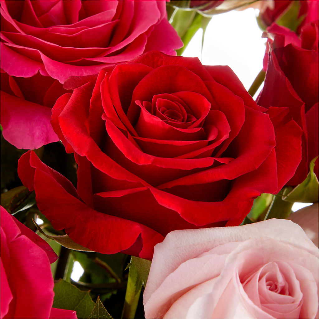 Love Notes Rose Bouquet –  Cornerstone Florals, Katy TX