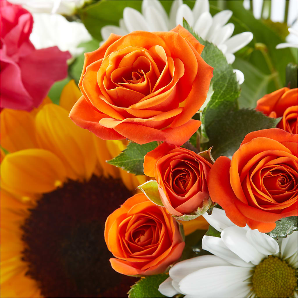 Sun-drenched Blooms Bouquet –  Cornerstone Florals, Katy TX