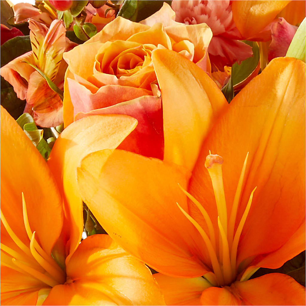 Afternoon Light Bouquet –  Cornerstone Florals, Katy TX