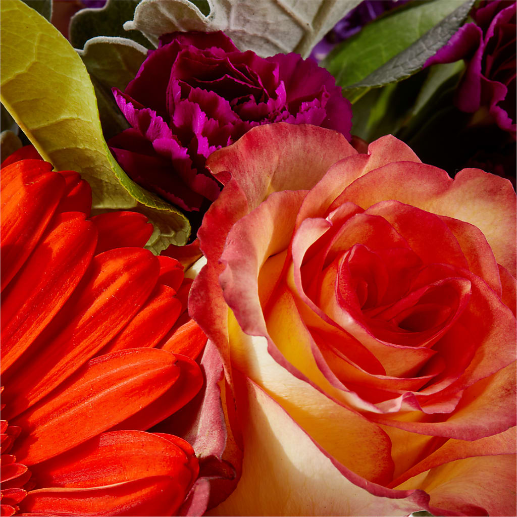 Sangria Bouquet –  Cornerstone Florals, Katy TX