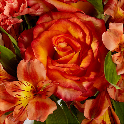 Apricot Glow Bouquet –  Cornerstone Florals, Katy TX