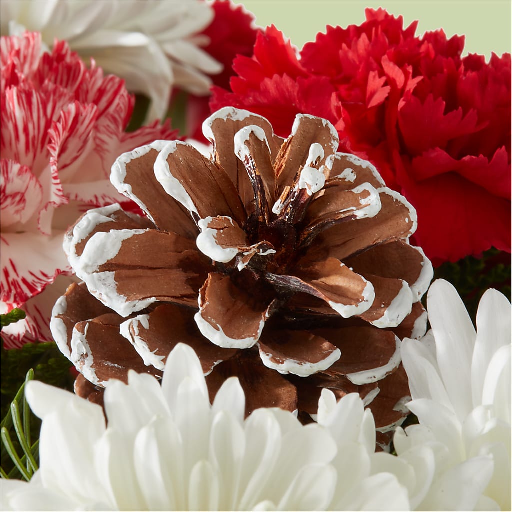 Candy Cane Lane Bouquet –  Cornerstone Florals, Katy TX