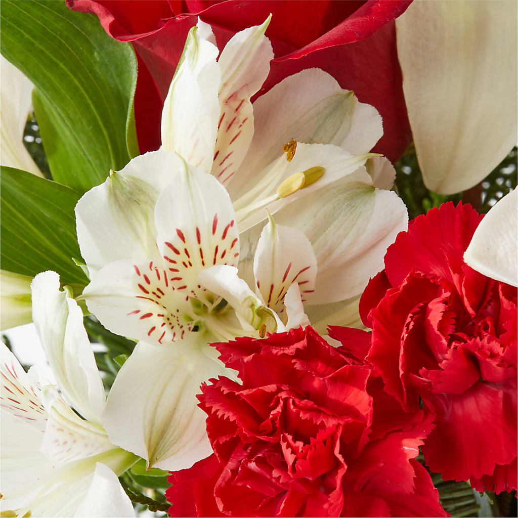 Holiday Season Bouquet –  Cornerstone Florals, Katy TX