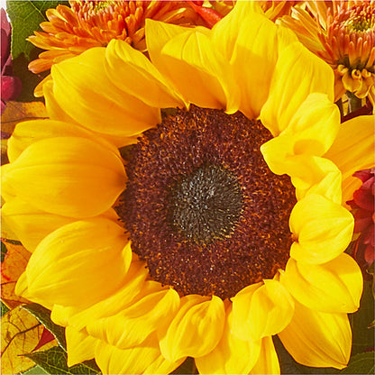 Sunny Side Bouquet –  Cornerstone Florals, Katy TX