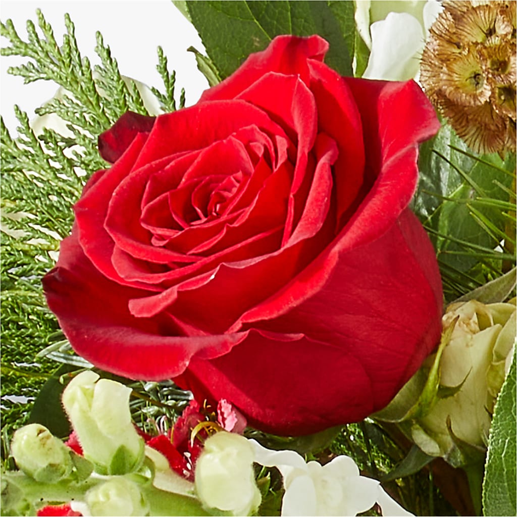 Deck the Halls Bouquet –  Cornerstone Florals, Katy TX
