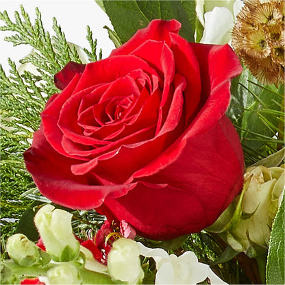 Deck the Halls Bouquet –  Cornerstone Florals, Katy TX