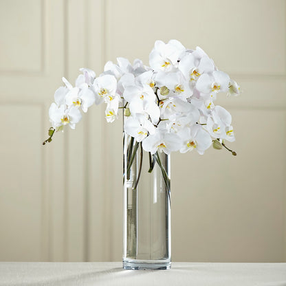 White Phalaenopsis Bouquet –  Cornerstone Florals, Katy TX