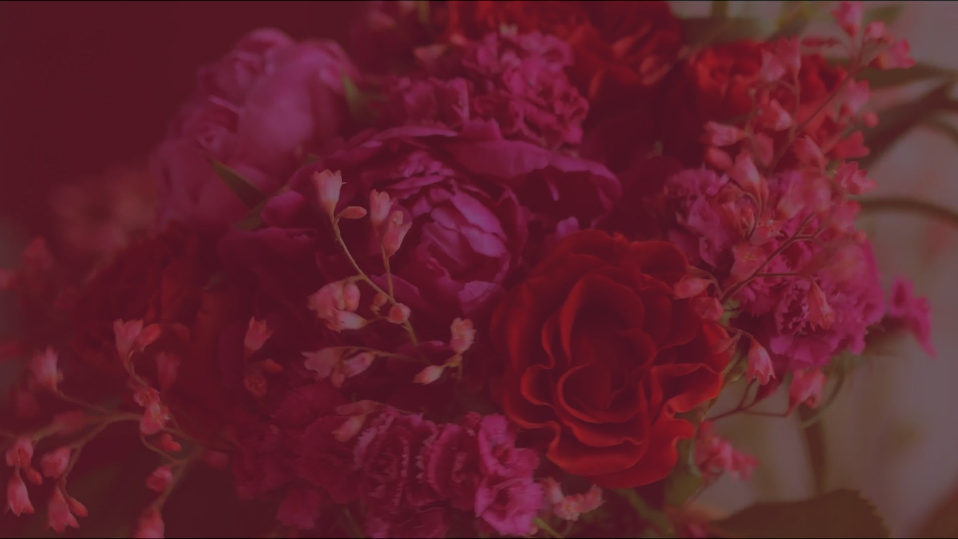 homepageBannerMetadata_Image_1783199993605.jpeg